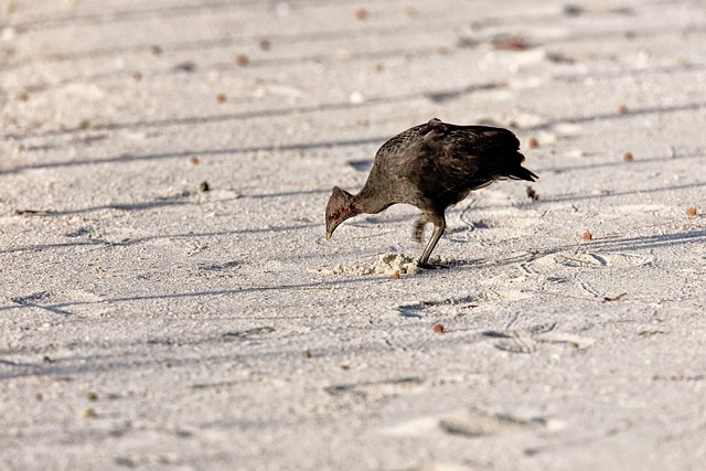 Best Six Sigma Tools for Beginners