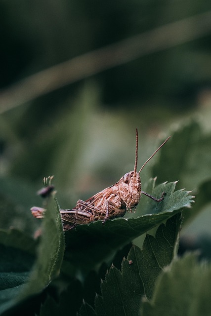 Cheat Sheet for Six Sigma Statistics