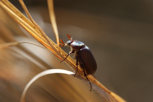 Six Sigma Green Belt Cheat Sheet