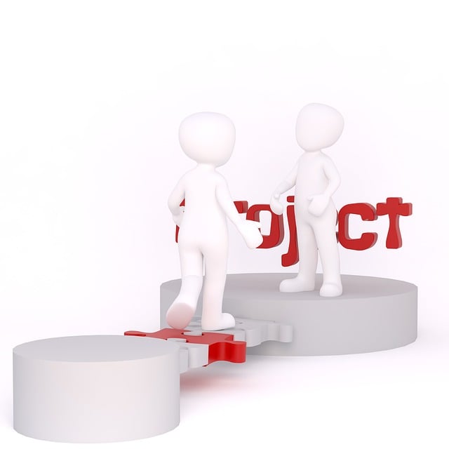 Six Sigma Project Management Healthcare