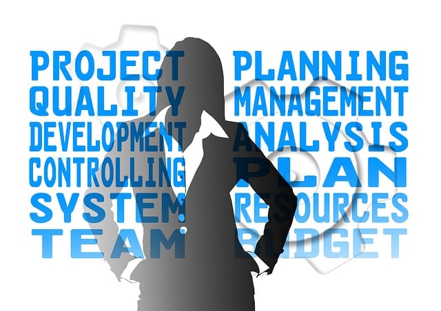 Six Sigma Project Management Healthcare