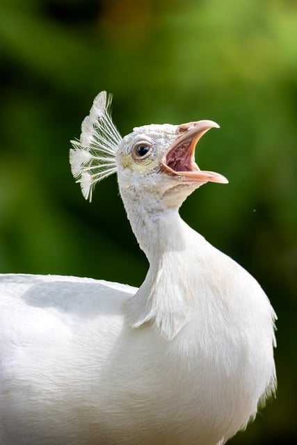 Best Six Sigma Tools for Beginners