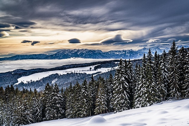 Cheat Sheet for Six Sigma Statistics