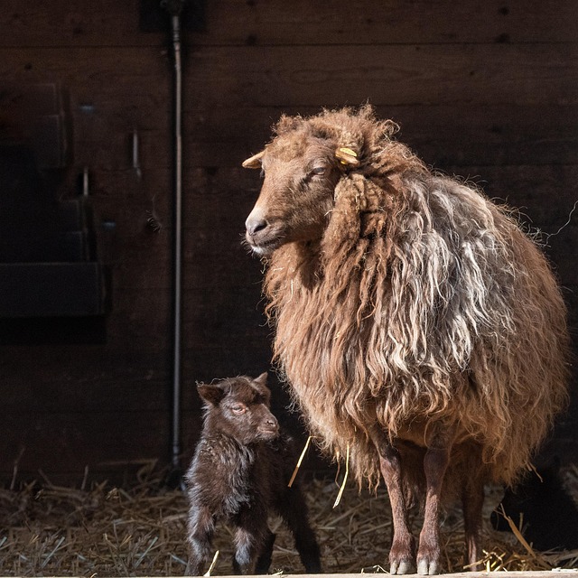 Cheat Sheet for Six Sigma Statistics