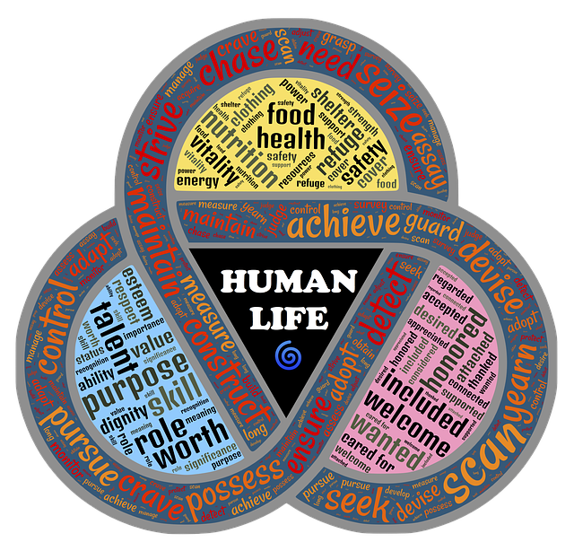 DMAIC Process Flowchart