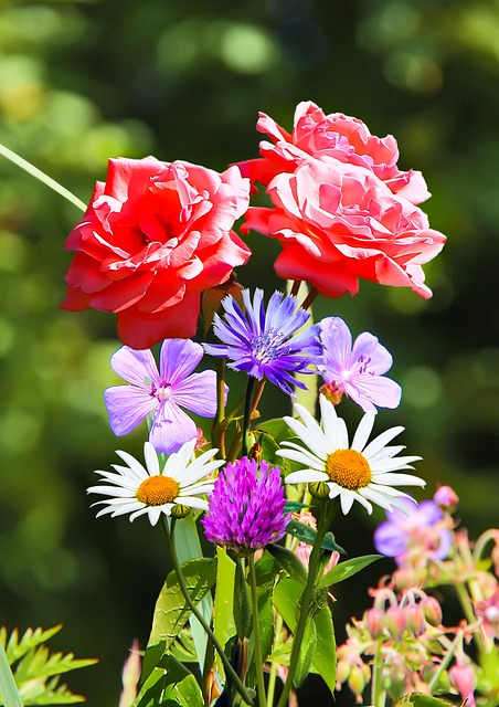 How to Implement Six Sigma in a Team