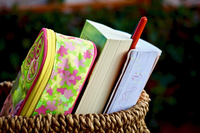 Six Sigma Case Studies PDF