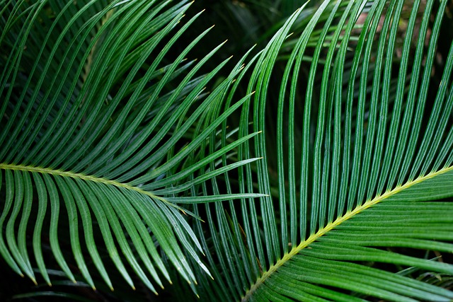 Six Sigma Green Belt Cheat Sheet