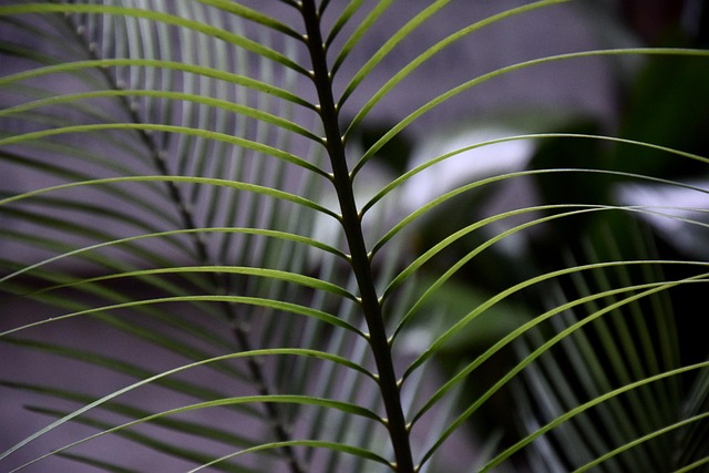 Six Sigma Green Belt Cheat Sheet