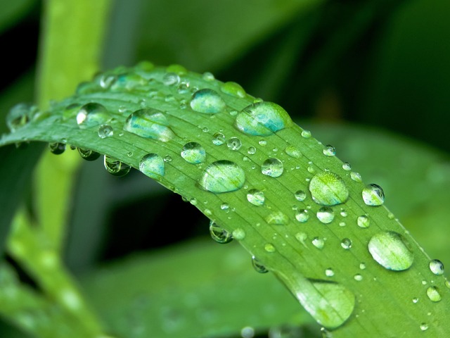 Six Sigma Green Belt Cheat Sheet