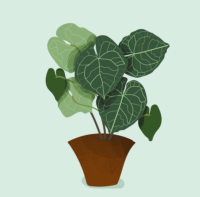 Six Sigma Green Belt Cheat Sheet