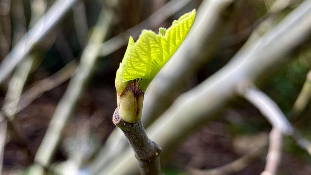 Six Sigma Green Belt Cheat Sheet