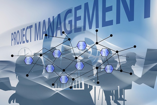 Six Sigma Project Management Templates