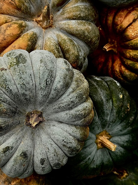 Six Sigma Project Management Templates