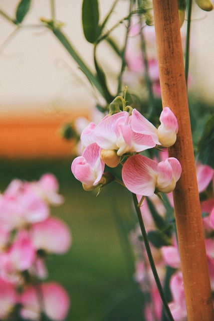 Six Sigma White Belt Certification Prep