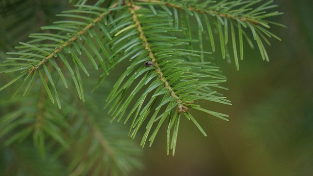 Best Six Sigma Tools for Beginners