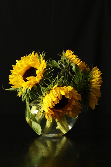 How to Implement Six Sigma in a Team