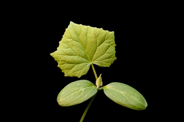 Six Sigma Green Belt Cheat Sheet