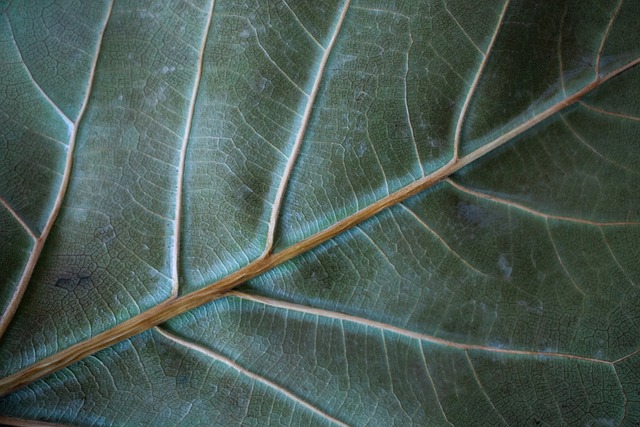 Six Sigma Green Belt Cheat Sheet