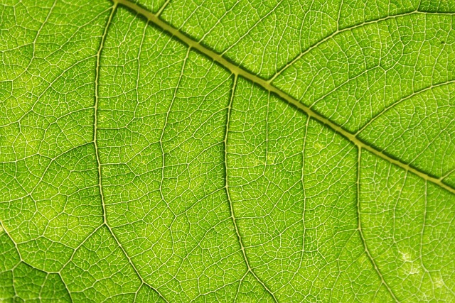 Six Sigma Green Belt Cheat Sheet