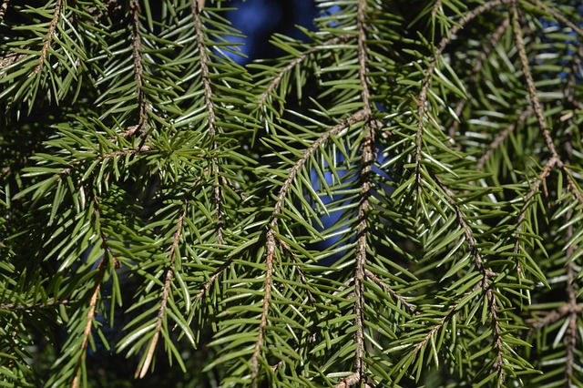 Six Sigma Lean Healthcare Examples