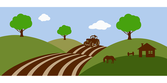 Six Sigma Project Templates Healthcare