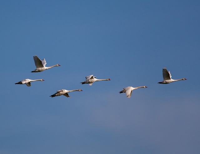 Six Sigma Projects in Healthcare