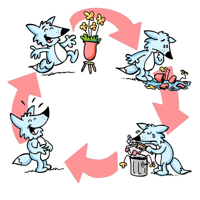 DMAIC Process Flowchart