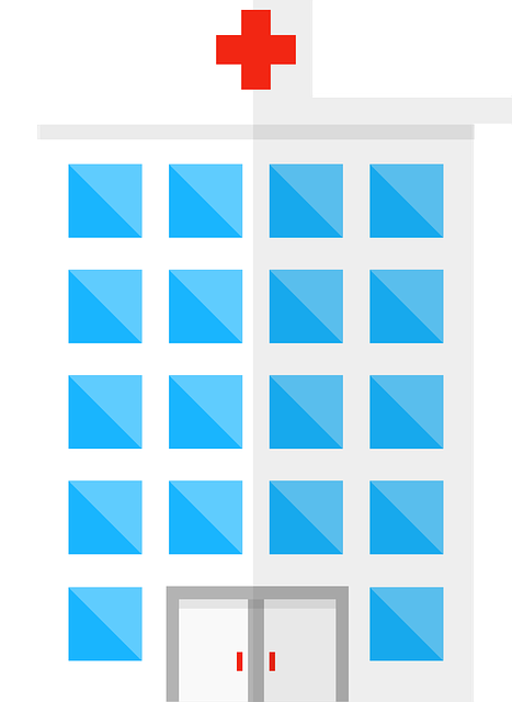 Implementing Six Sigma in Hospitals