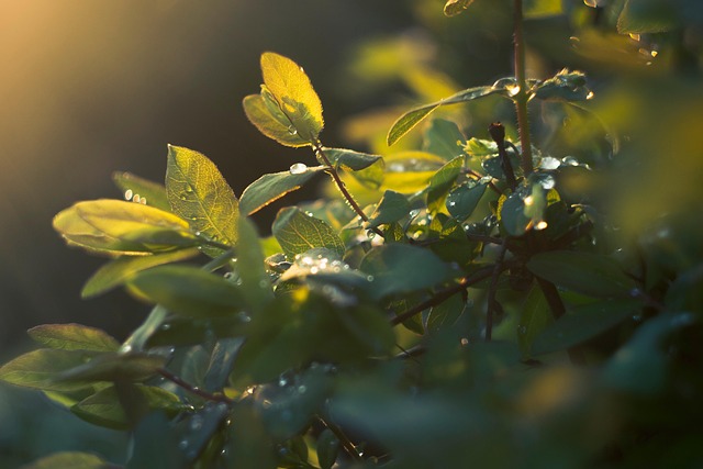 Six Sigma Green Belt Cheat Sheet