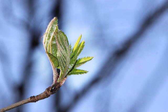 Six Sigma Green Belt Cheat Sheet