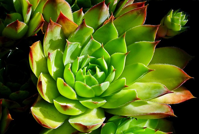 Six Sigma Green Belt Healthcare Examples