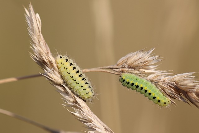 Six Sigma Tools PDF Download