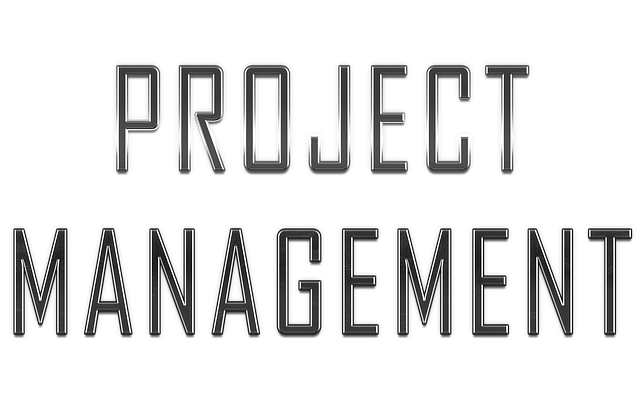 Six Sigma Project Management Templates