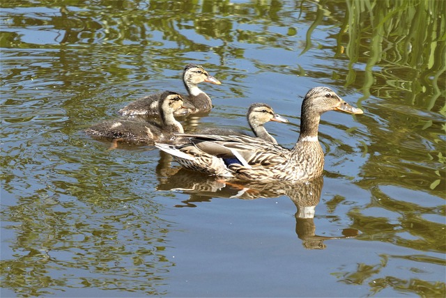 DMADV Methodology Explained