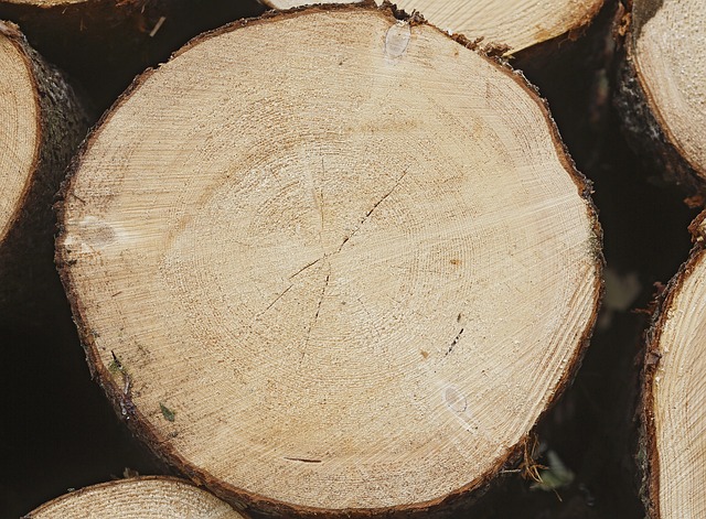 Implementing Six Sigma in Hospitals