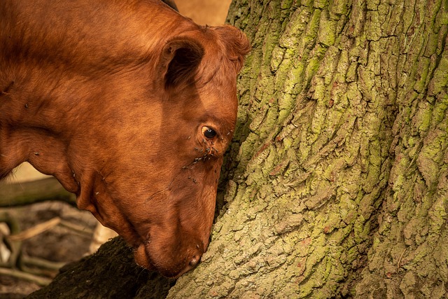 Six Sigma Lean Healthcare Examples