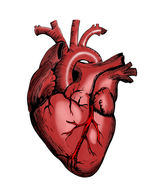 Six Sigma Lean Healthcare Examples