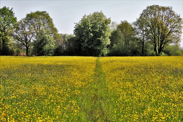 Six Sigma Yellow Belt Tools Summary