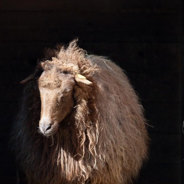 Cheat Sheet for Six Sigma Statistics