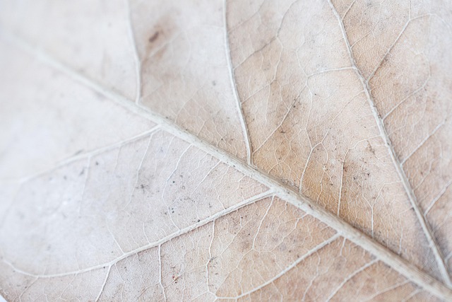 Cheat Sheet for Six Sigma Statistics