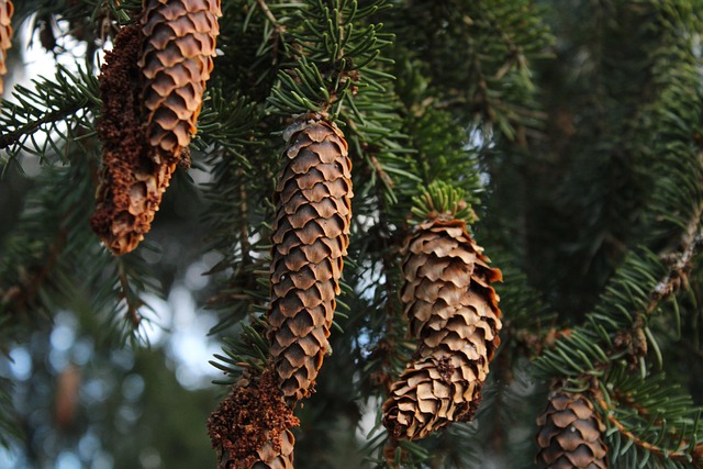 Healthcare Quality Improvement Projects Six Sigma