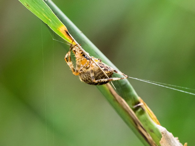 Six Sigma Green Belt Cheat Sheet