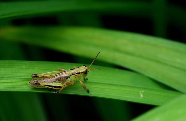 Six Sigma Green Belt Cheat Sheet