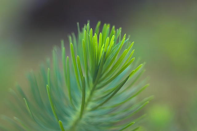 Six Sigma Green Belt Cheat Sheet