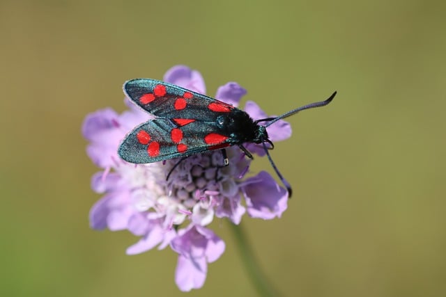 Six Sigma Tools PDF Download