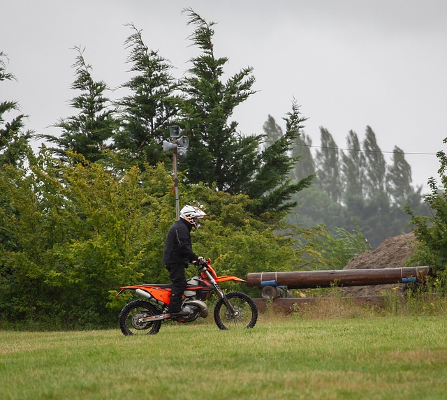 Case Studies on Six Sigma in Healthcare