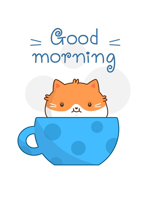 Master Team Success with Six Sigma Metrics Implementation