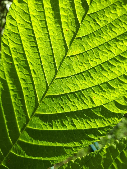 Six Sigma Green Belt Cheat Sheet