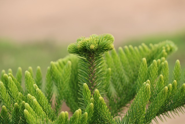 Six Sigma Green Belt Cheat Sheet